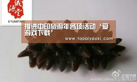 爱游戏APP