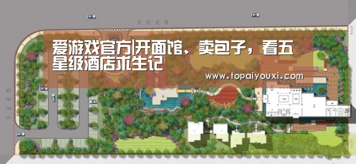 爱游戏APP