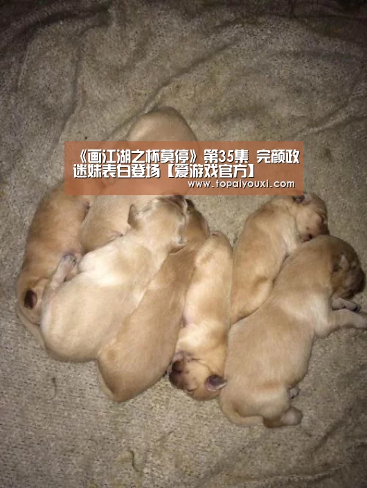 《画江湖之杯莫停》第35集 完颜政迷妹表白登场【爱游戏官方】(图1) 爱游戏APP