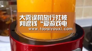 大雾误机旅行社被判退钱“爱游戏电竞”(图4) 爱游戏APP