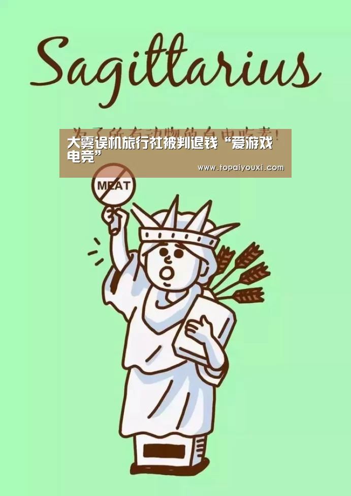 大雾误机旅行社被判退钱“爱游戏电竞”(图2) 爱游戏下载