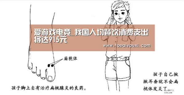 爱游戏电竞_我国人均餐饮消费支出将达915元(图1) 爱游戏下载