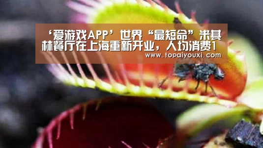‘爱游戏APP’世界“最短命”米其林餐厅在上海重新开业,人均消费1400元(图2) 爱游戏官方